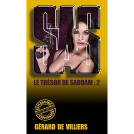 LE TRESOR DE SADDAM : 2